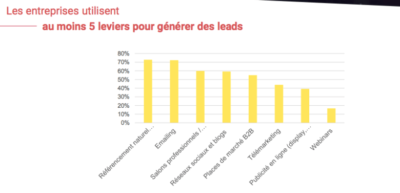 Quels Leviers Marketing Actionner Pour Générer Des Leads En B2B ? | SLN Web